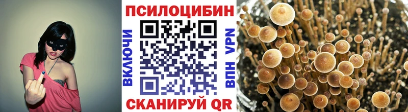 Псилоцибиновые грибы мухоморы  Пермь 